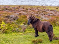 Isle of South Uist